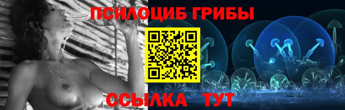 Чапаевск  Галлюциногенные грибы прущие грибы  Вход с VPN  Галлюциногенные грибы прущие грибы 